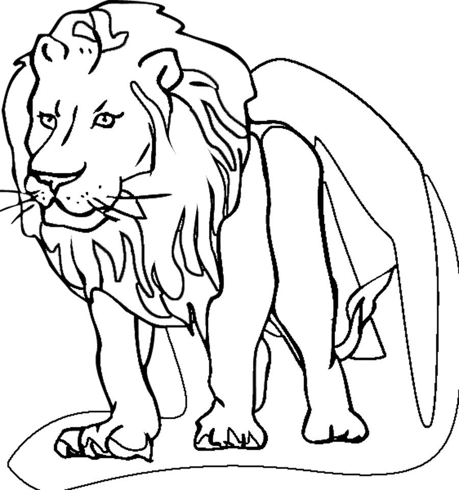 Lion Colour Drawing at GetDrawings | Free download