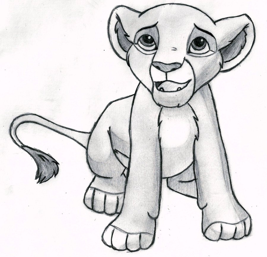 Lion Cub Drawing Easy at GetDrawings Free download
