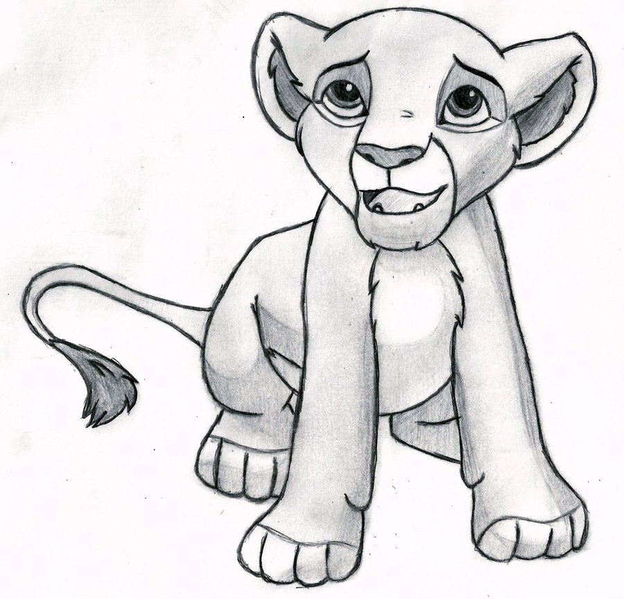 Lion Cub Drawing Easy at GetDrawings | Free download