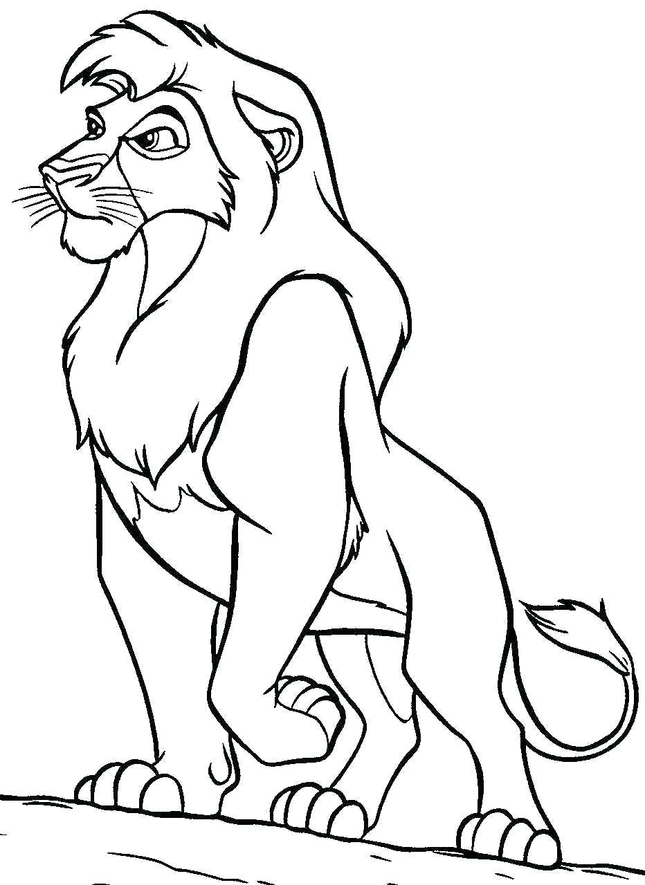 Lion Drawing Color at GetDrawings | Free download