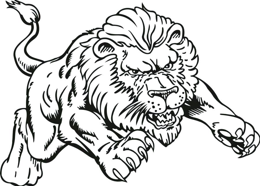 Lion Drawing Color at GetDrawings | Free download
