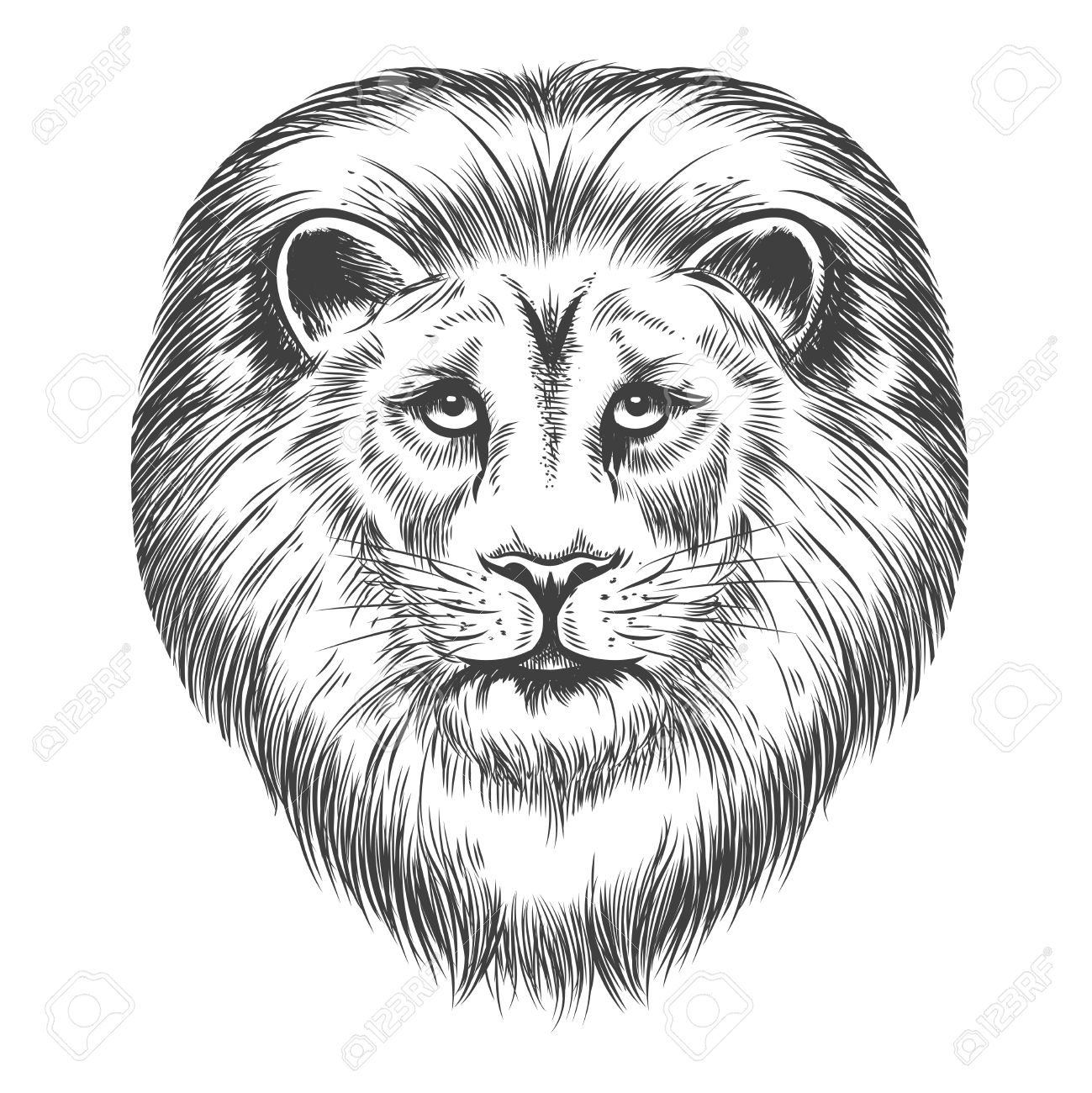 lion-face-drawing-step-by-step-at-getdrawings-free-download