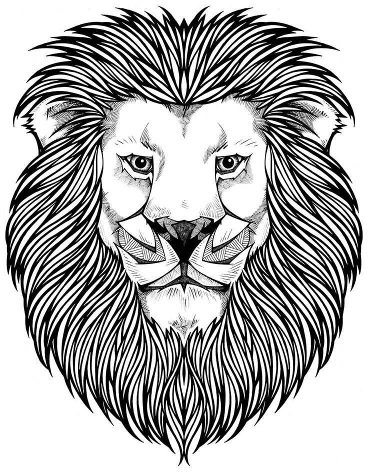 Lion Face Line Drawing at GetDrawings | Free download