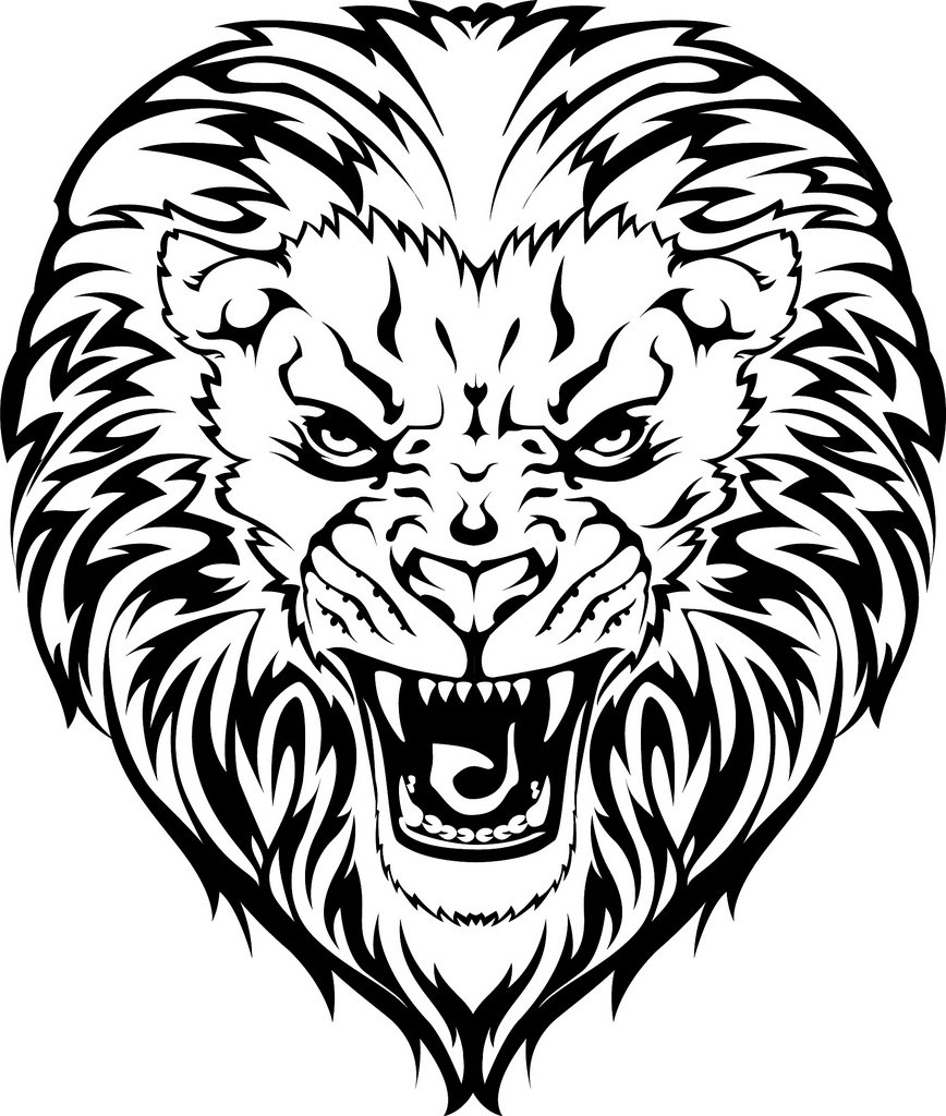 Lion Face Outline Drawing At GetDrawings Free Download