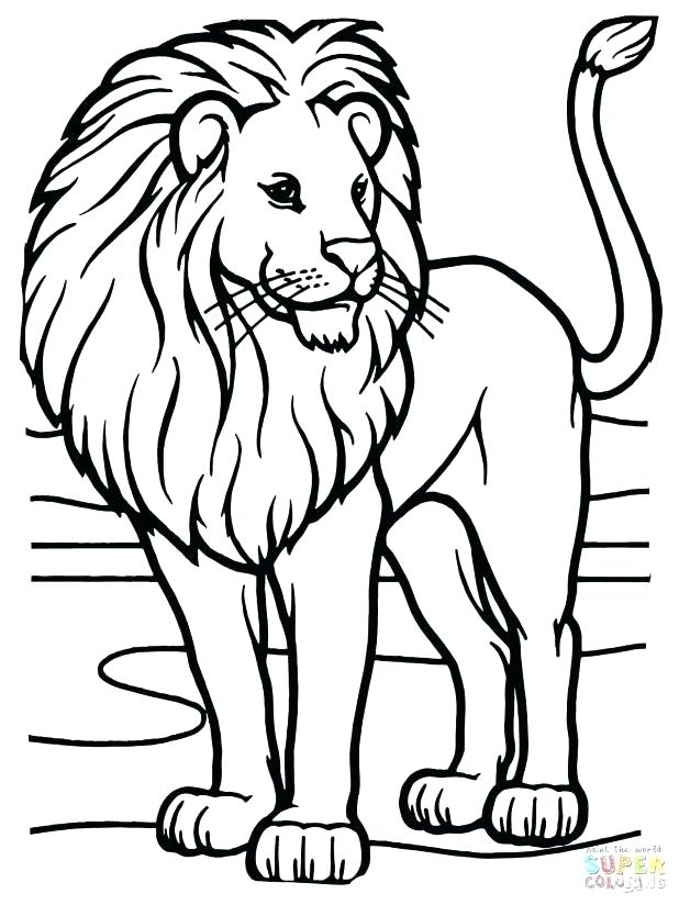Lion Lamb Drawing at GetDrawings | Free download