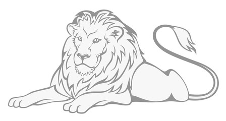 lion sitting drawing