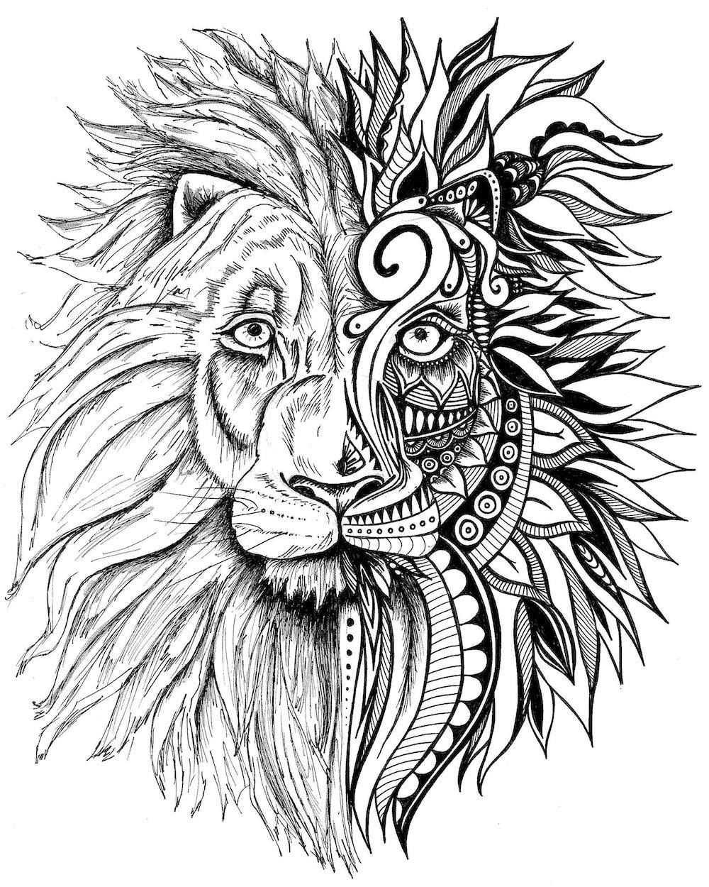 Lion Portrait Drawing at GetDrawings | Free download