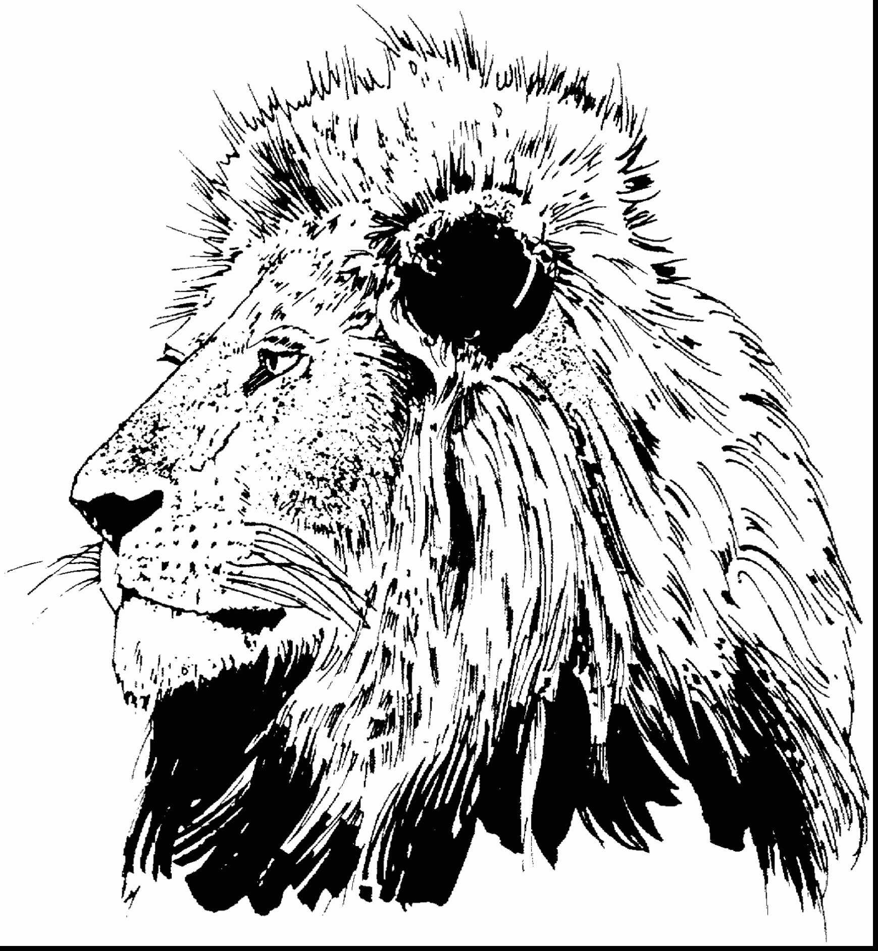 View Lion Coloring Pages For Adults Already Colored Background