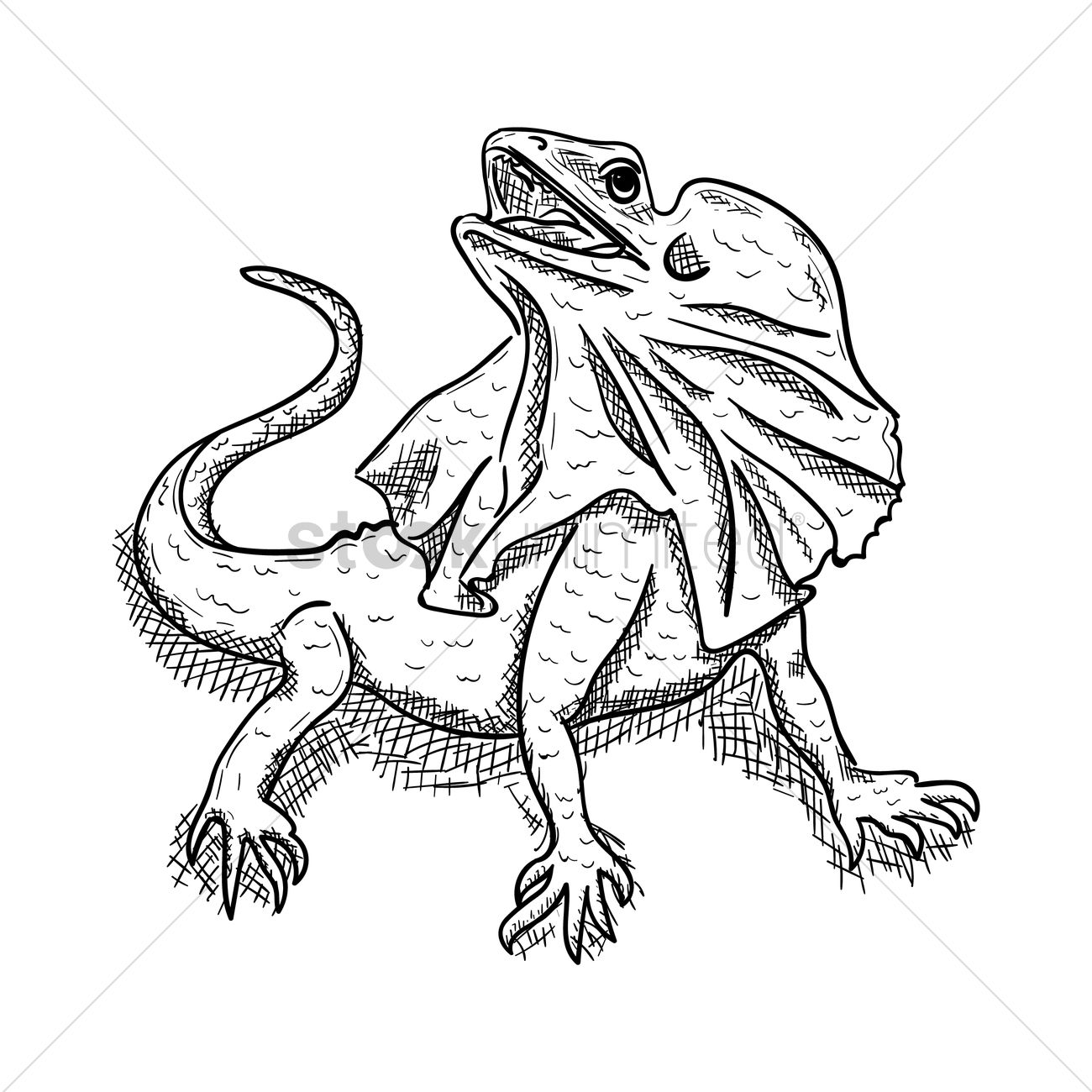 Best Lizard Sketch Drawing with Realistic