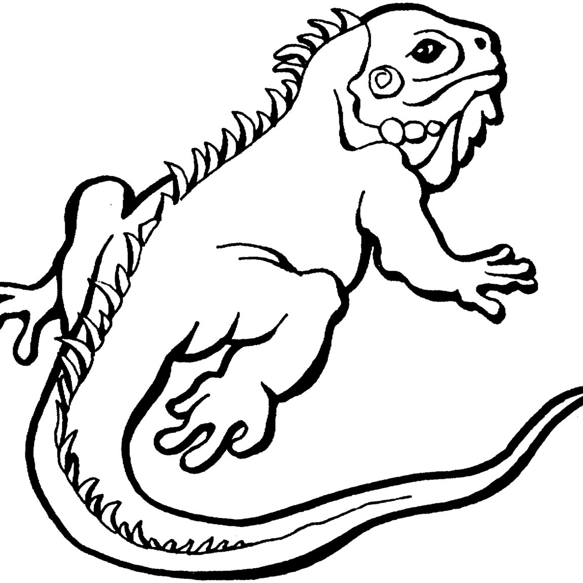 Lizard Cartoon Drawing At Getdrawings 