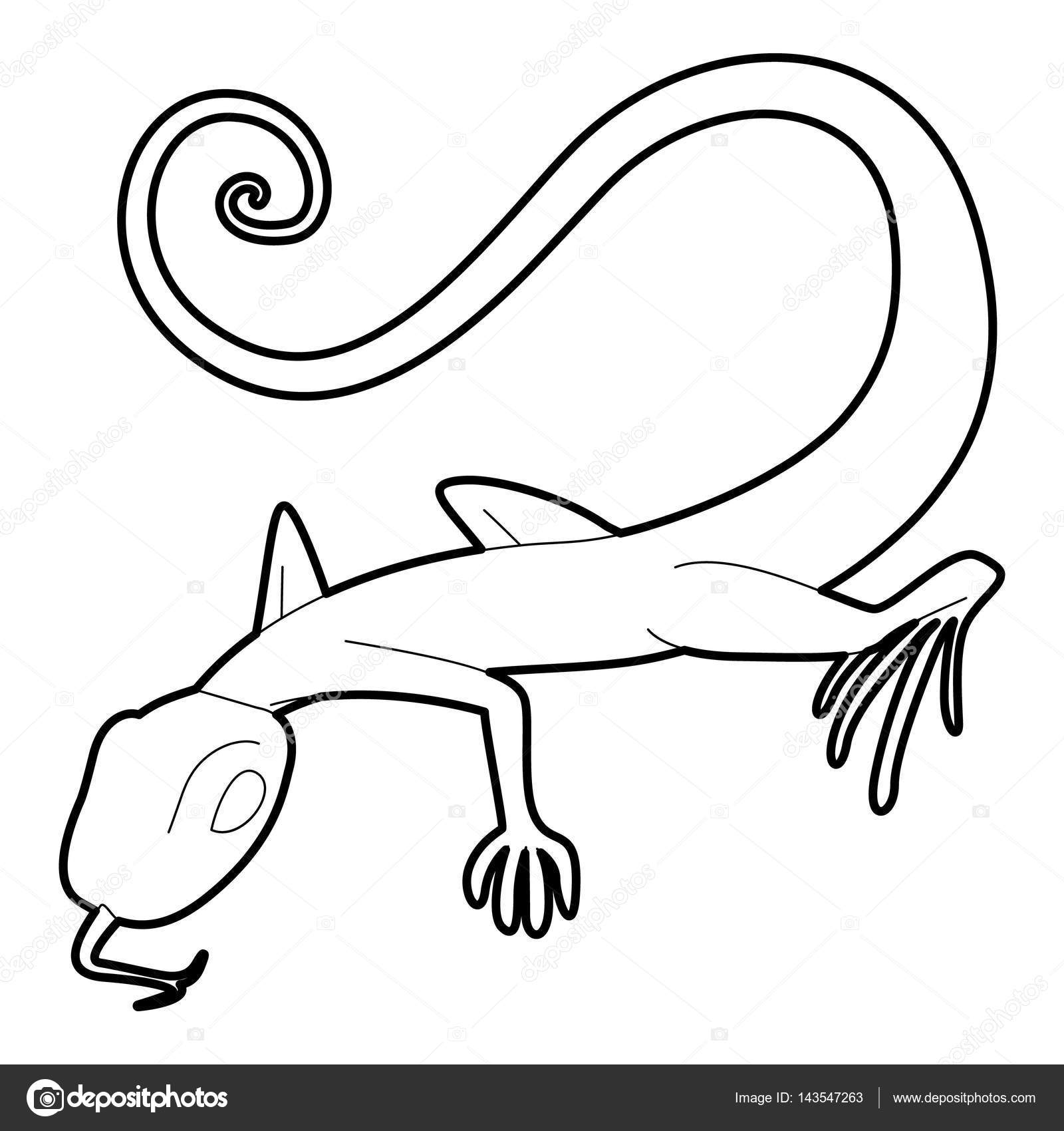 Lizard Drawing Outline at GetDrawings Free download