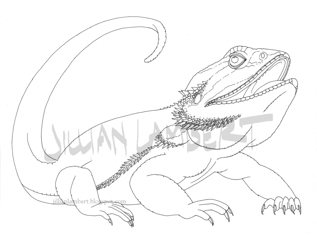 Free Printable Bearded Dragon Coloring Pages
