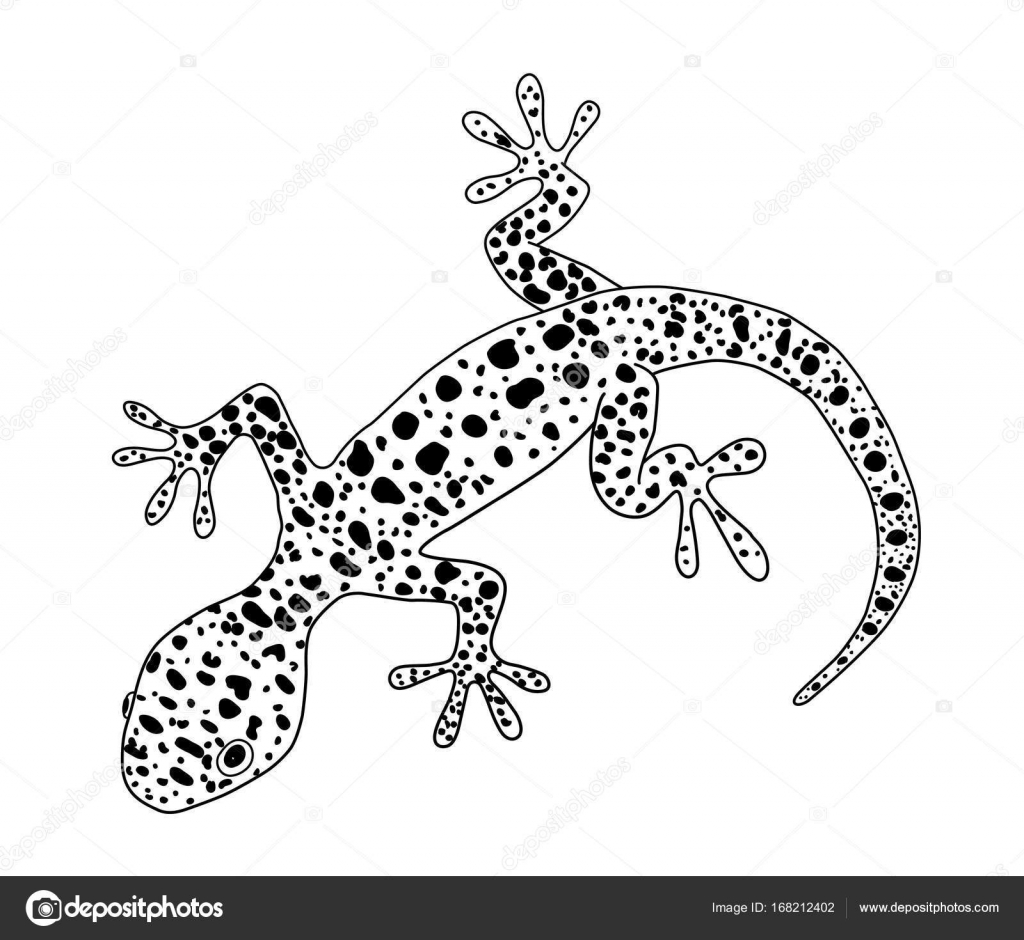 Lizard Line Drawing at GetDrawings Free download