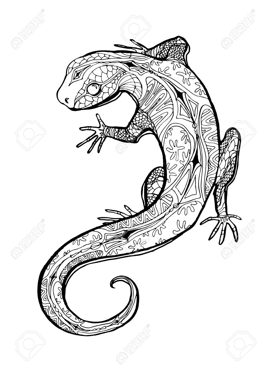 Lizard Line Drawing at GetDrawings Free download