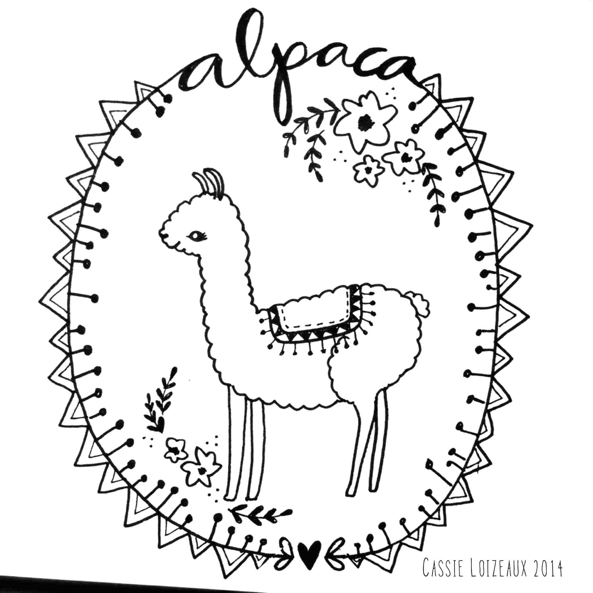 llama face drawing at getdrawings  free download