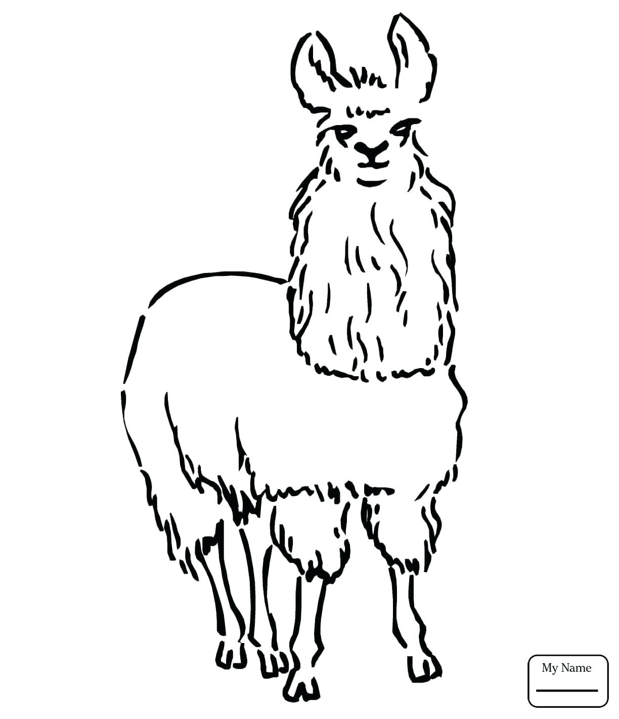 Llama Line Drawing at GetDrawings Free download