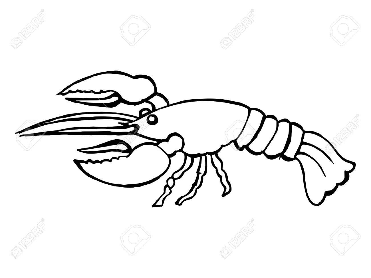 Lobster Line Drawing at GetDrawings Free download