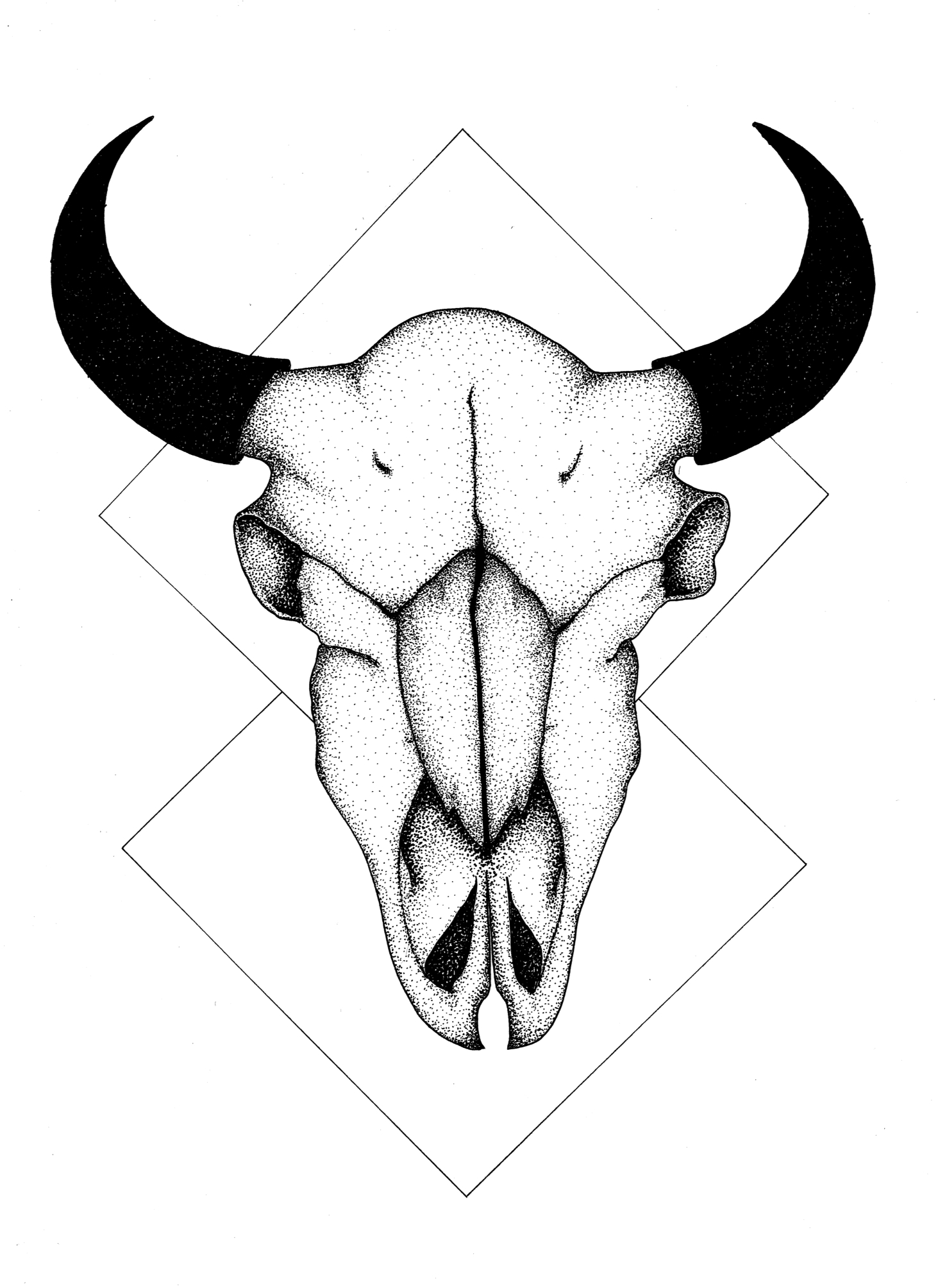 Longhorn Skull Drawing at GetDrawings | Free download