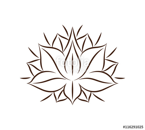 Lotus Blossom Drawing At Getdrawings 