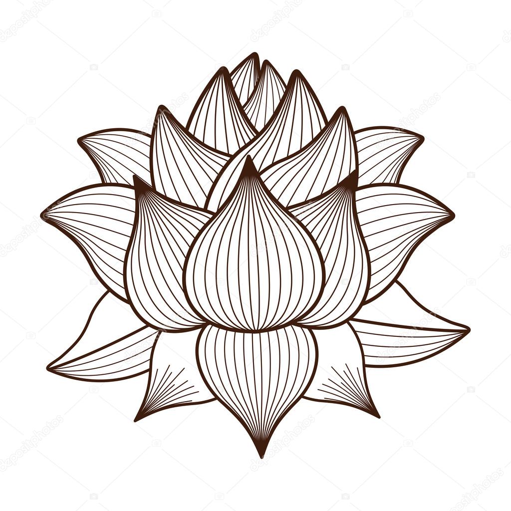 Lotus Flower Drawing Images at GetDrawings | Free download
