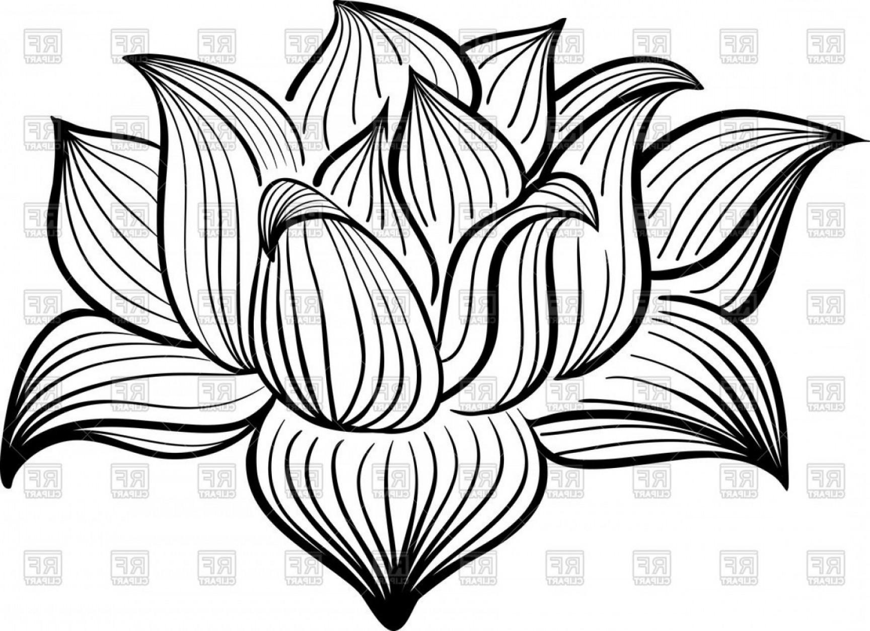 Lotus Flower Drawing Outline At Getdrawings Free Download 2433