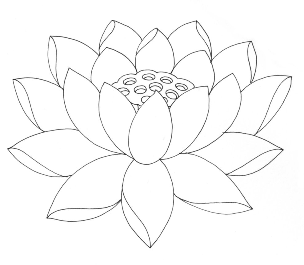 Lotus Flower Drawing Simple at GetDrawings Free download