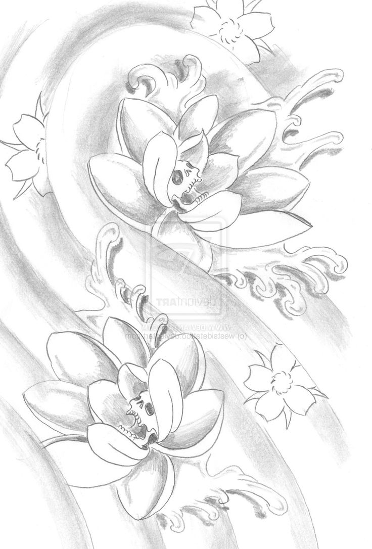 Lotus Flower Drawing Outline At Free For Personal Use Lotus Flower Drawing 9176