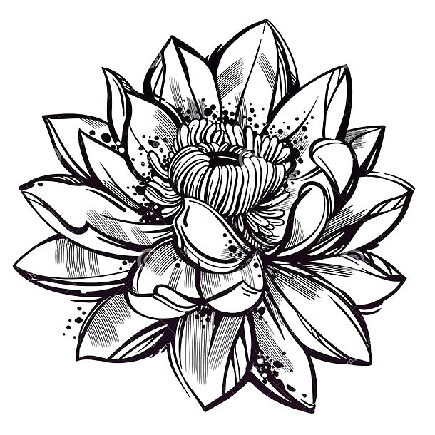 Lotus Flower Drawing Tattoo at GetDrawings Free download