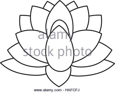 Lotus Line Drawing at GetDrawings | Free download