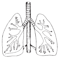Lung Cancer Drawing at GetDrawings | Free download