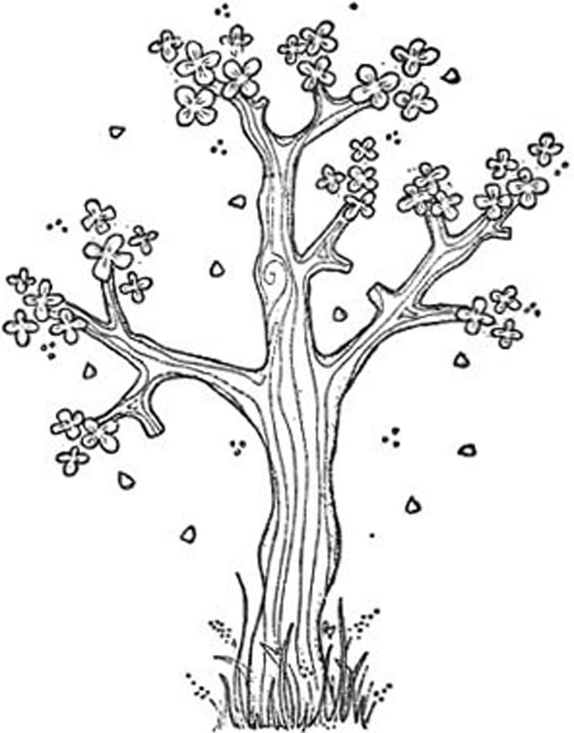 Magnolia Tree Drawing at GetDrawings | Free download