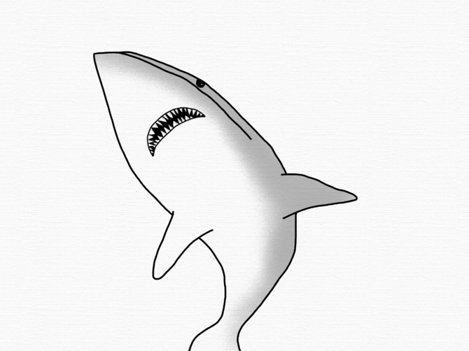 Mako Shark Drawing at GetDrawings Free download