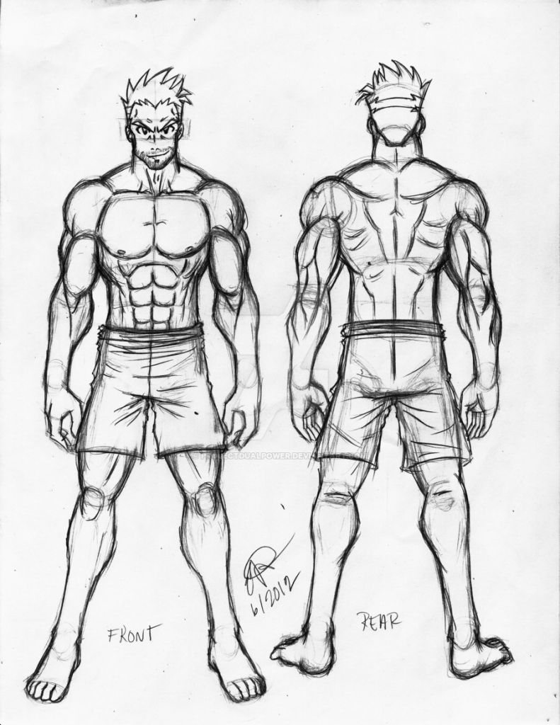 man body anatomy drawing