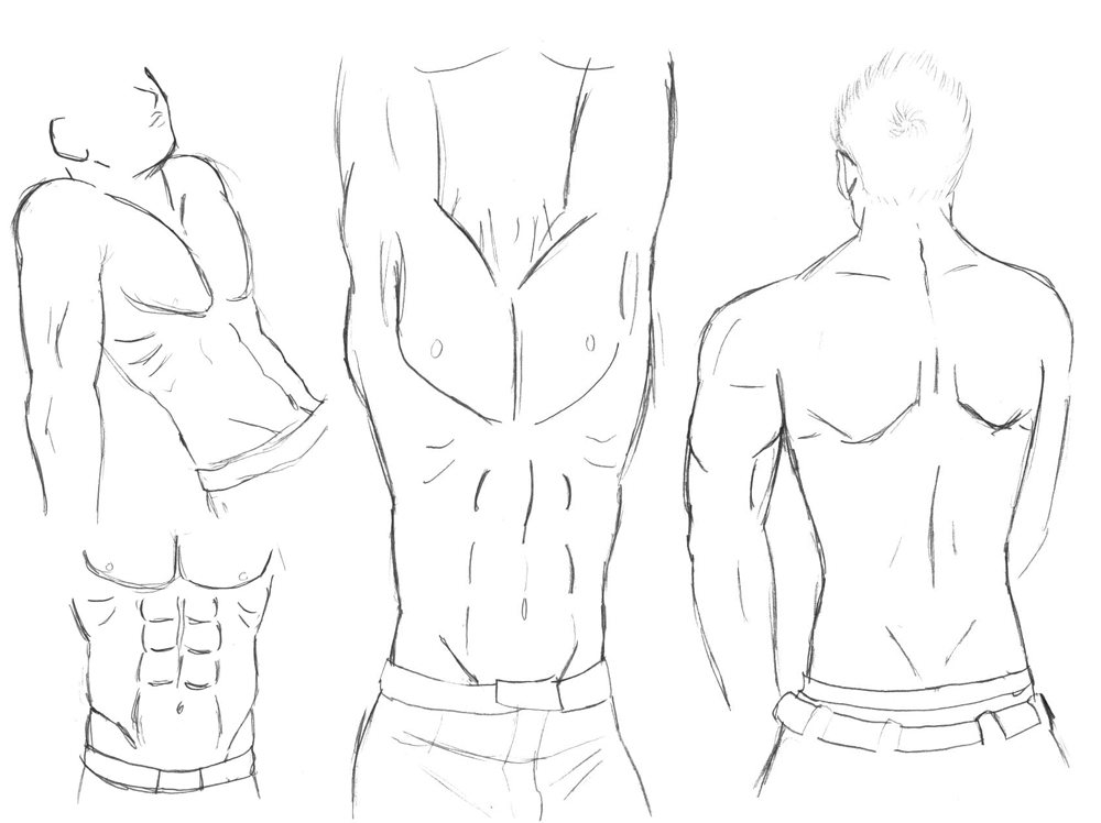 male body sketch