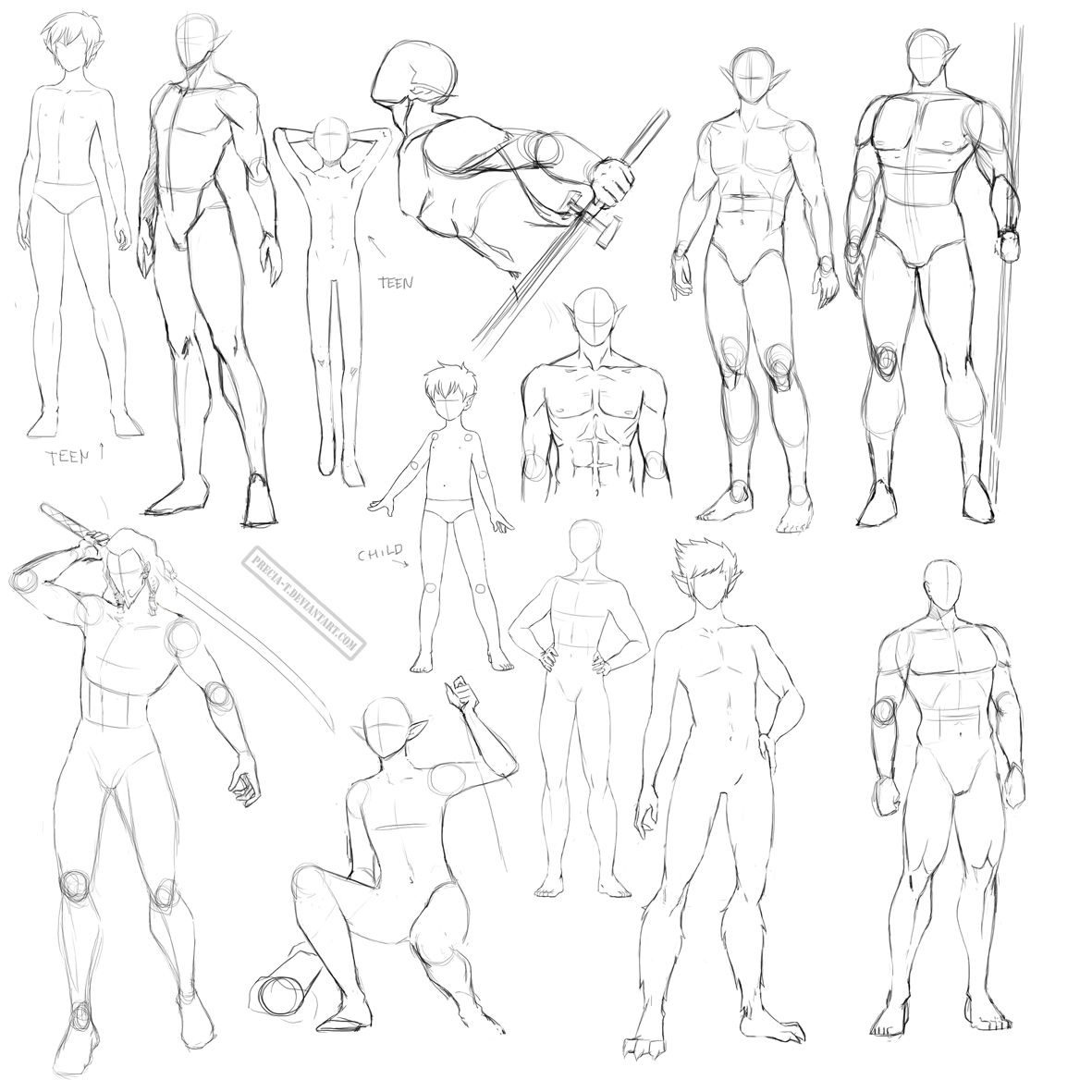 male body sketch