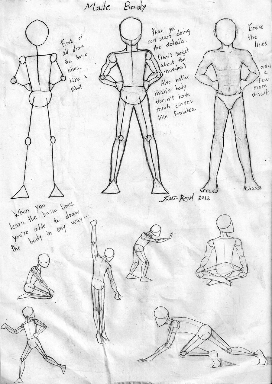 man body anatomy drawing