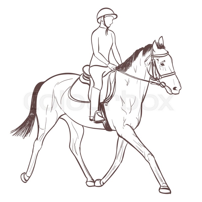 Man Riding Horse Drawing at GetDrawings Free download