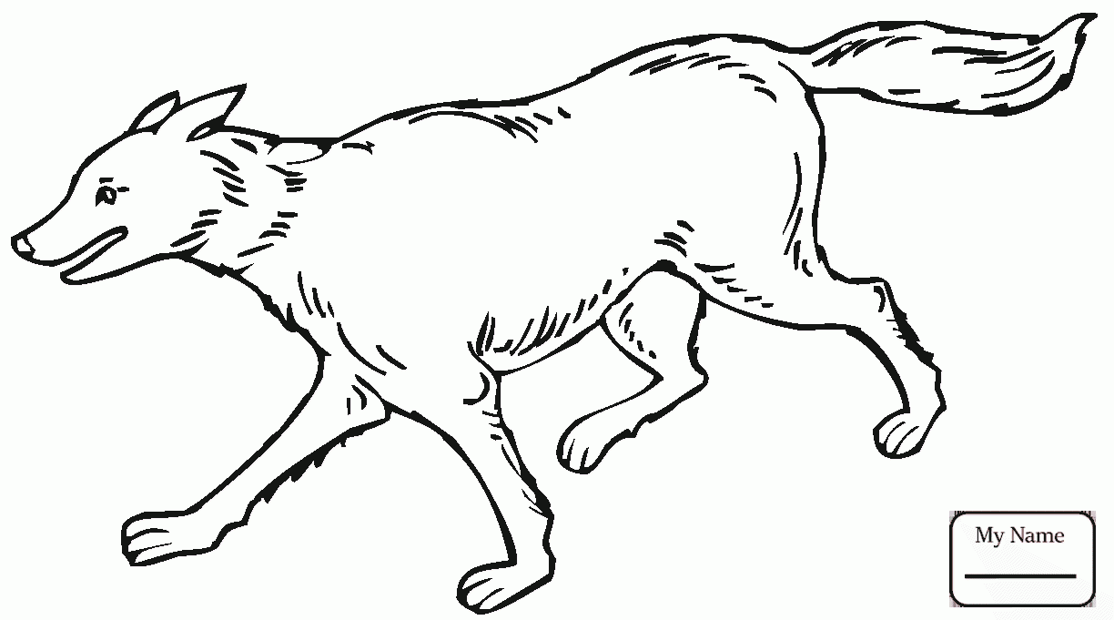 Maned Wolf Drawing at GetDrawings | Free download