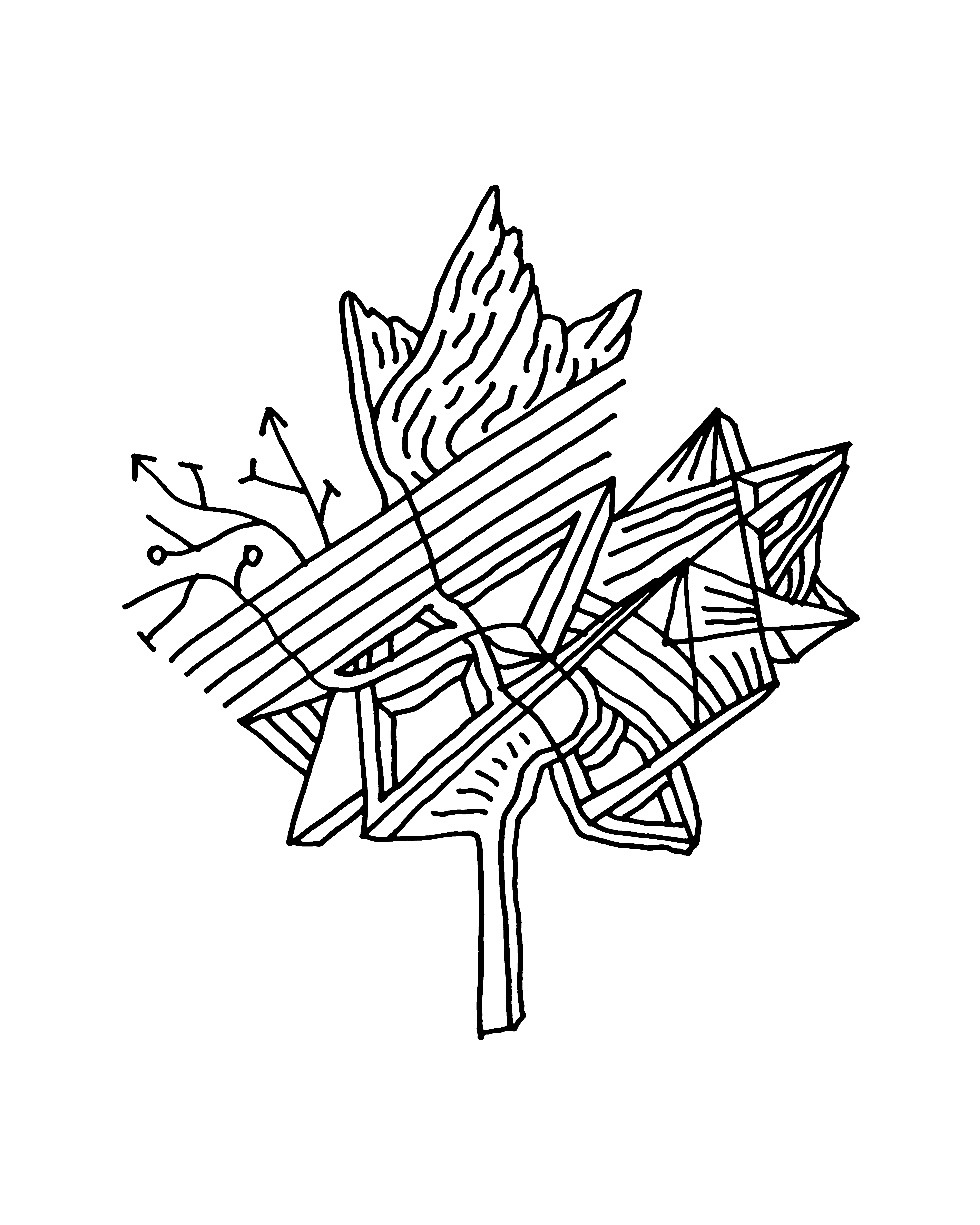 Maple Leaf Line Drawing at GetDrawings Free download