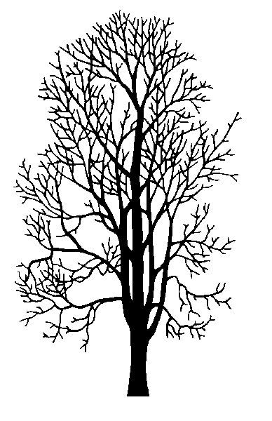Maple Tree Drawing at GetDrawings | Free download