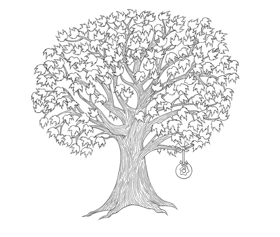 Maple Tree Drawing at GetDrawings | Free download