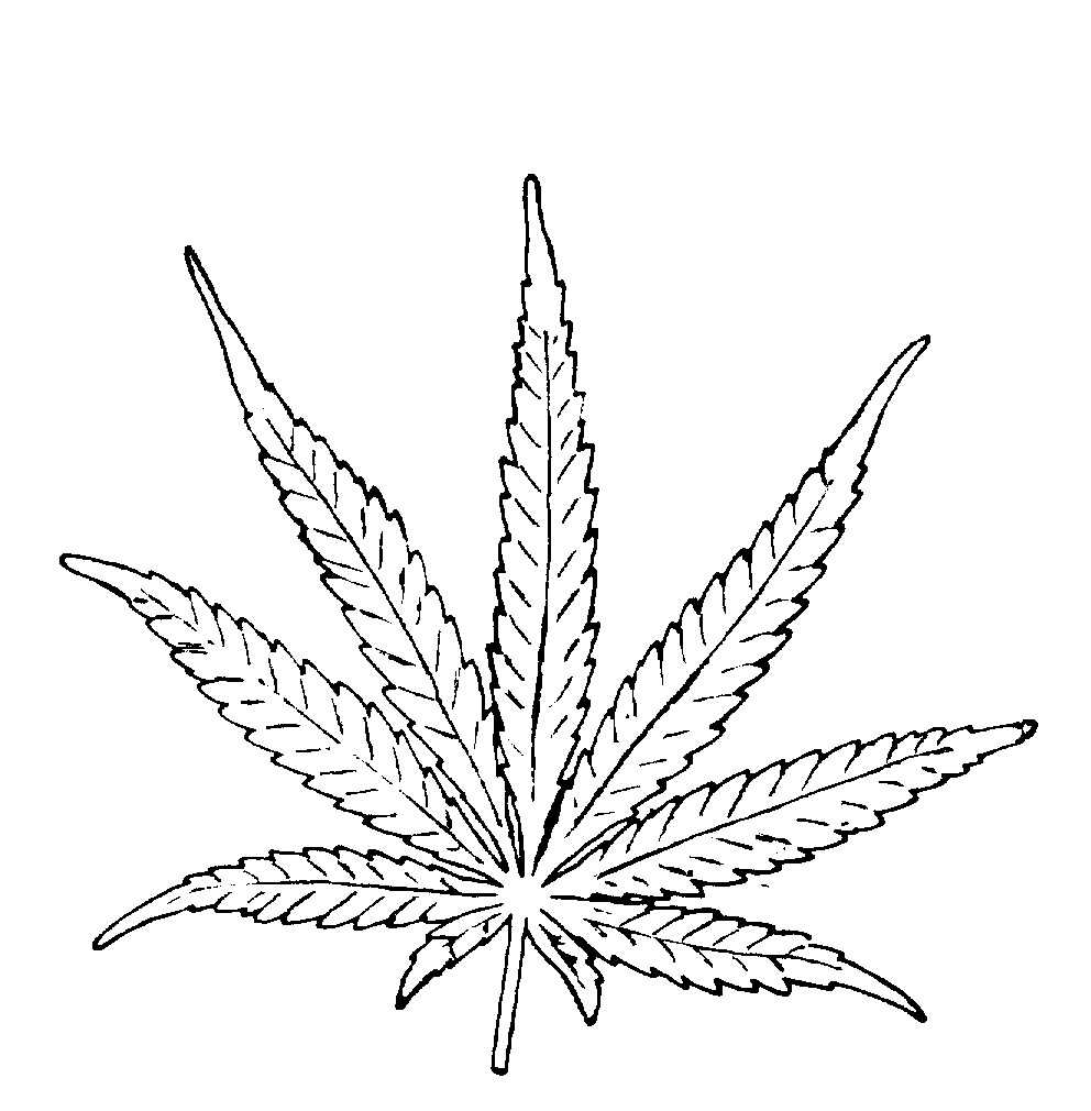 992x1010 Best Weed Leaf Pencil Drawings Marijuana Drawings.