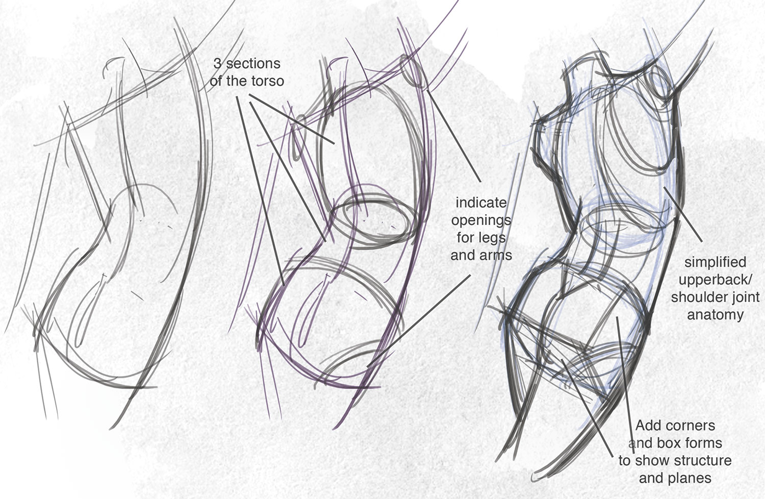 Feet Anatomy Simplified