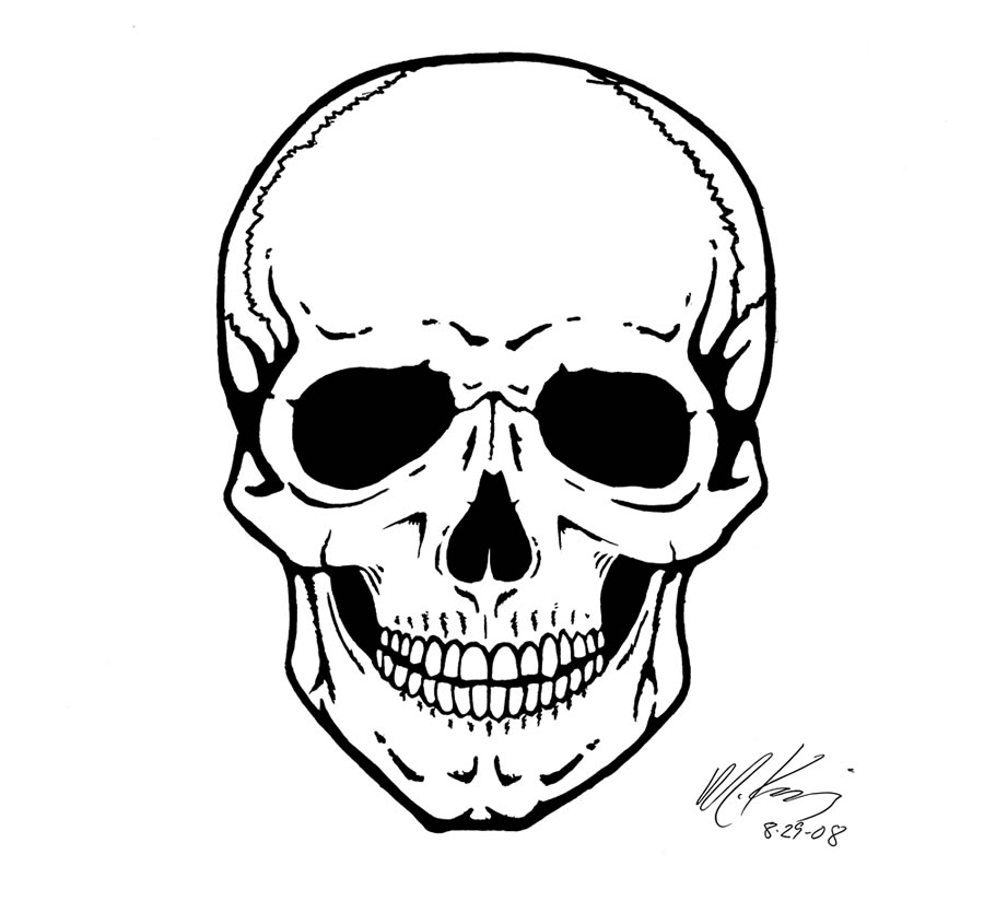 human skull line drawing