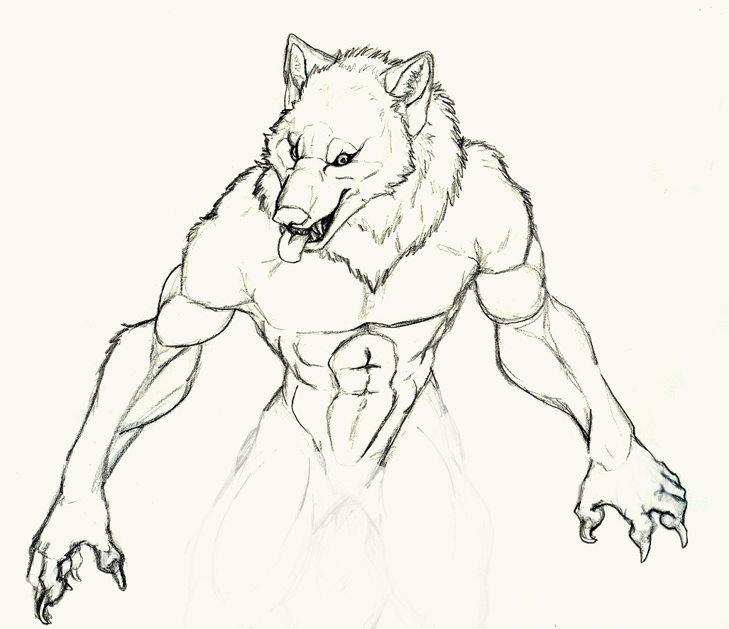 557. drawing images for 'Werewolf'. 