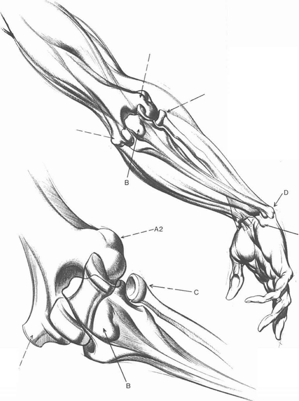 Mechanical Arm Drawing at GetDrawings | Free download