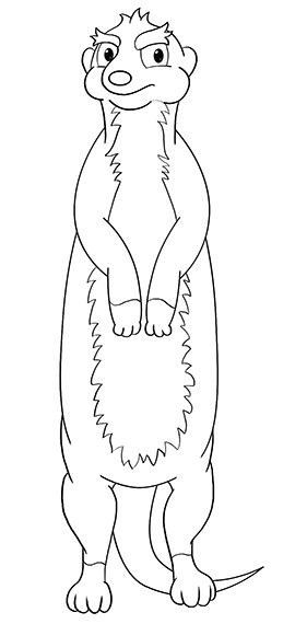 How To Draw A Meerkat Art Hub