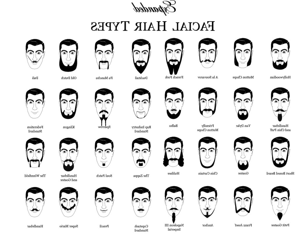 The Best Free Haircut Drawing Images Download From 119 Free