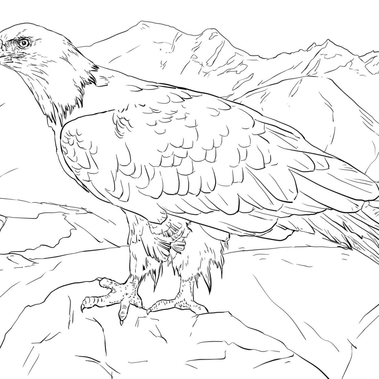 Mexican Eagle Drawing at GetDrawings | Free download