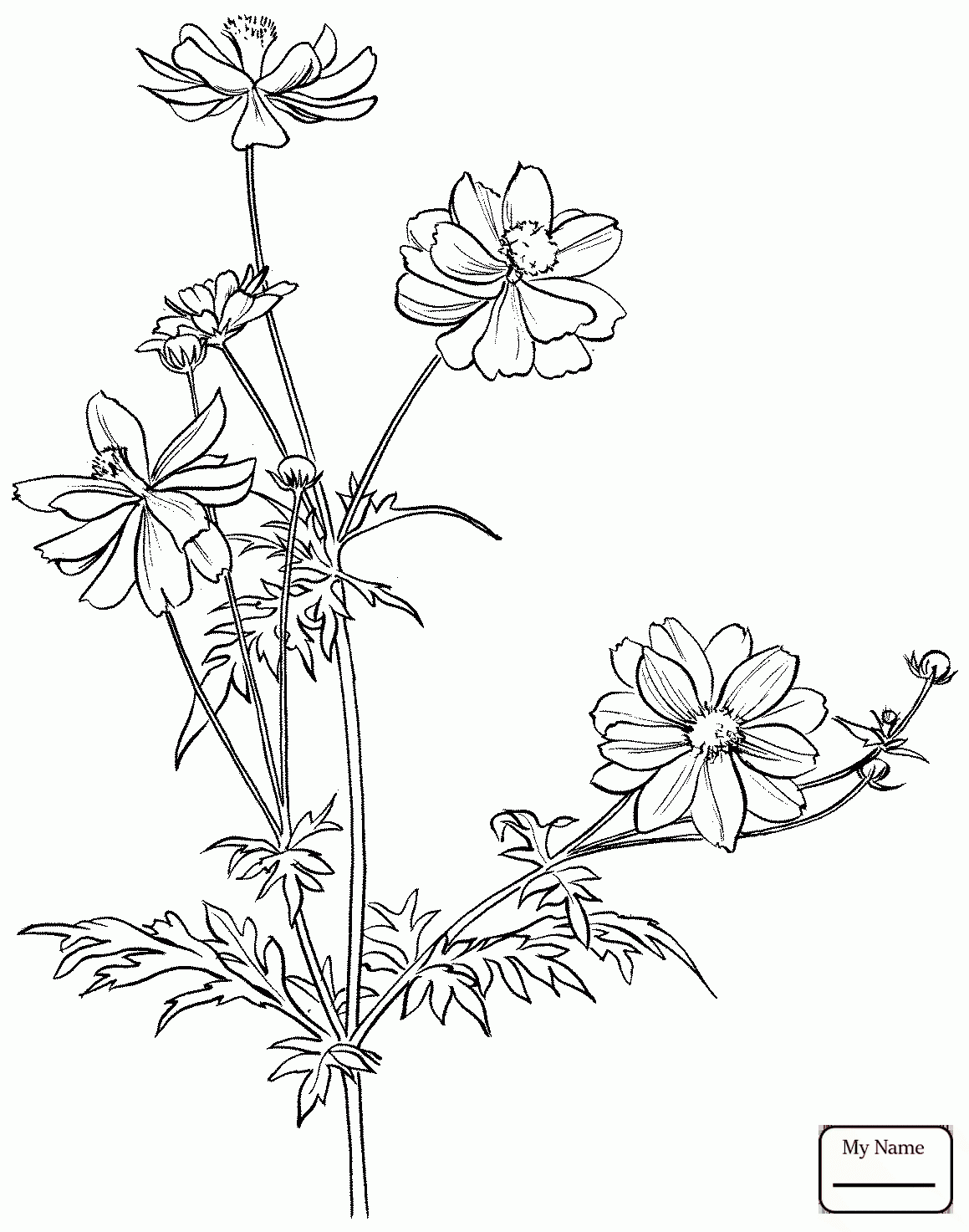 Mexican Flowers Drawing at GetDrawings | Free download